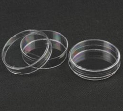 培養皿（FFA002）