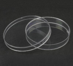 培養皿（FFA007）