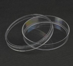 培養皿（FFA008）